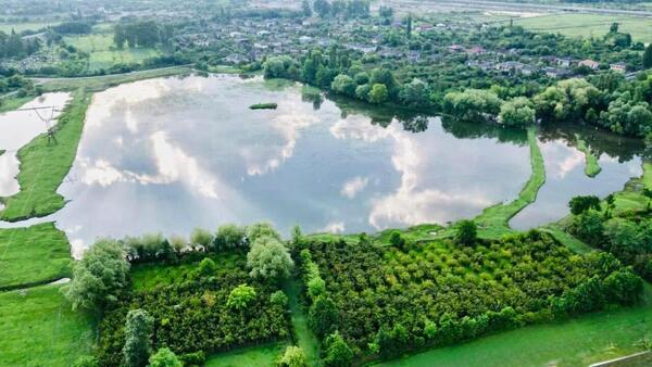 crane lake