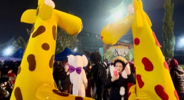 სამტრედიის   მთავარი ნაძვის ხე  საზეიმოდ აინთო