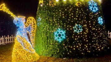 სამტრედიის   მთავარი ნაძვის ხე  საზეიმოდ აინთო