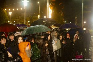 სამტრედიის   მთავარი ნაძვის ხე  საზეიმოდ აინთო