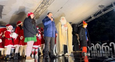 სამტრედიის   მთავარი ნაძვის ხე  საზეიმოდ აინთო