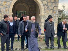 სამტრედიაში ქართულ-იაპონური მეგობრობის სიმბოლოდ  საკურას  ხეივნები გაშენდება