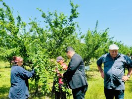 სოფლის მეურნეობის დარგის ხელშეწყობის მიზნით, სასოფლო-სამეურნეო სავარგულებამდე მისასვლელი გზების, წყალსაწრეტი არხების მოწყობა და სხვადასხვა სამუშაოები მიმდინარეობს 