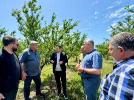 სოფლის მეურნეობის დარგის ხელშეწყობის მიზნით, სასოფლო-სამეურნეო სავარგულებამდე მისასვლელი გზების, წყალსაწრეტი არხების მოწყობა და სხვადასხვა სამუშაოები მიმდინარეობს 