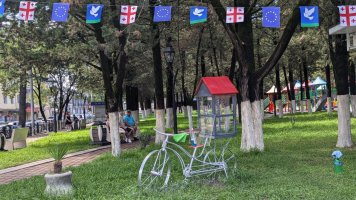 სრულად რეაბილიტირებული 