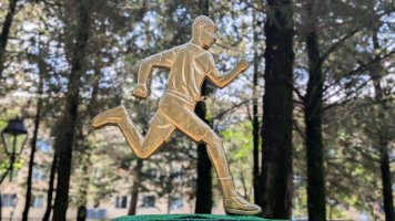 სრულად რეაბილიტირებული 