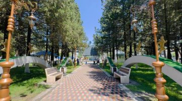 სრულად რეაბილიტირებული 