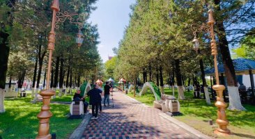 სრულად რეაბილიტირებული 