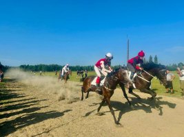 მარიამობის დღესასწაულზე ტრადიციული დოღი გაიმართა
