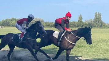 მარიამობის დღესასწაულზე ტრადიციული დოღი გაიმართა