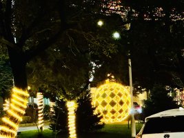 სამტრედიაში  წინა საახალწლო სამზადისი აქტიურად მიმდინარეობს
