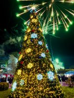 სამტრედიაში საზეიმოდ აინთო ქალაქის მთავარი საახალწლო ნაძვის ხე